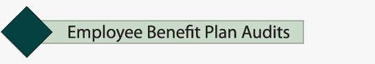 EBP Audits Peggy S. Edge, CPA